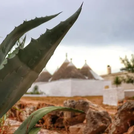 펜션 I Trulli D'a Ross 세글리에 메사피카